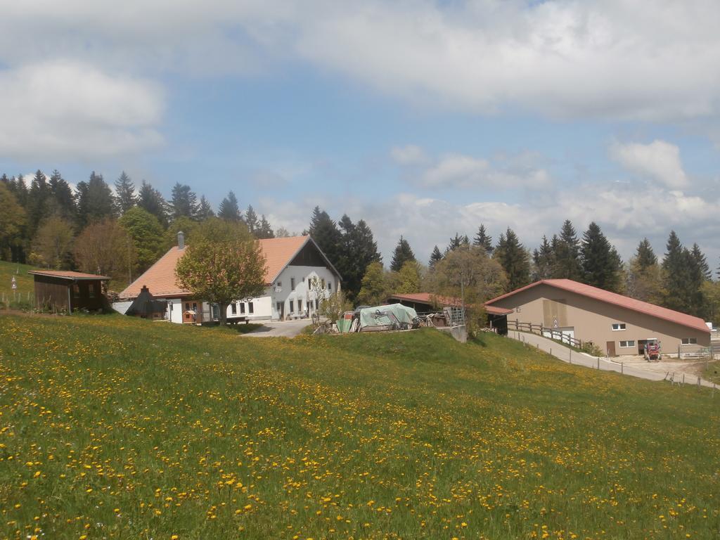 B&B La Ferme De Pouillerel La Chaux De Fonds Exterior photo